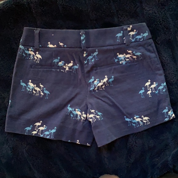 Ann Taylor loft shorts - Picture 4 of 5